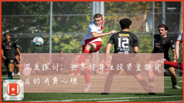深度探讨：世界杯每注投资金额背后的消费心理