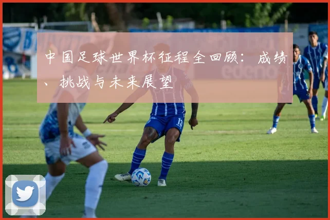 中国足球世界杯征程全回顾：成绩、挑战与未来展望
